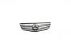 Grille Assembly:204 880 00 23