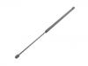 Gas Spring:51 23 7 066 566