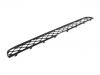Grille Assembly:51 11 7 159 597