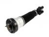 减震器 Shock Absorber:220 320 21 38