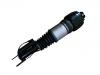 减震器 Shock Absorber:211 320 61 13