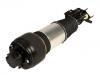 减震器 Shock Absorber:211 320 60 13