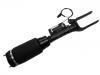 减震器 Shock Absorber:251 320 30 13