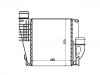 中冷器 Intercooler:9675627980