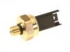 Pressure Sensor:13 53 7 614 317