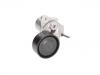 涨紧轮总成 Belt Tensioner:06K 903 133 C