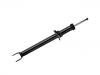 减震器 Shock Absorber:213 320 35 30