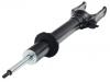 减震器 Shock Absorber:251 320 03 30