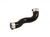 Intake Pipe:246 528 06 82
