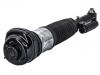 减震器 Shock Absorber:37 10 6 874 593