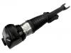 减震器 Shock Absorber:37 10 6 877 554