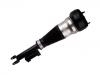 减震器 Shock Absorber:222 320 47 13