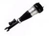 减震器 Shock Absorber:222 320 48 13