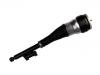 减震器 Shock Absorber:222 320 53 13