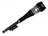 减震器 Shock Absorber:222 320 59 01