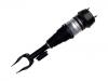 减震器 Shock Absorber:A 166 320 14 13