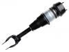 减震器 Shock Absorber:166 320 73 13