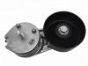 涨紧轮总成 Belt Tensioner:PQG500250