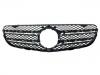Grille Assembly:A 253 888 21 00