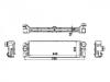 中冷器 Intercooler:907 501 16 00